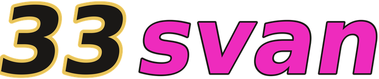 33svan logo